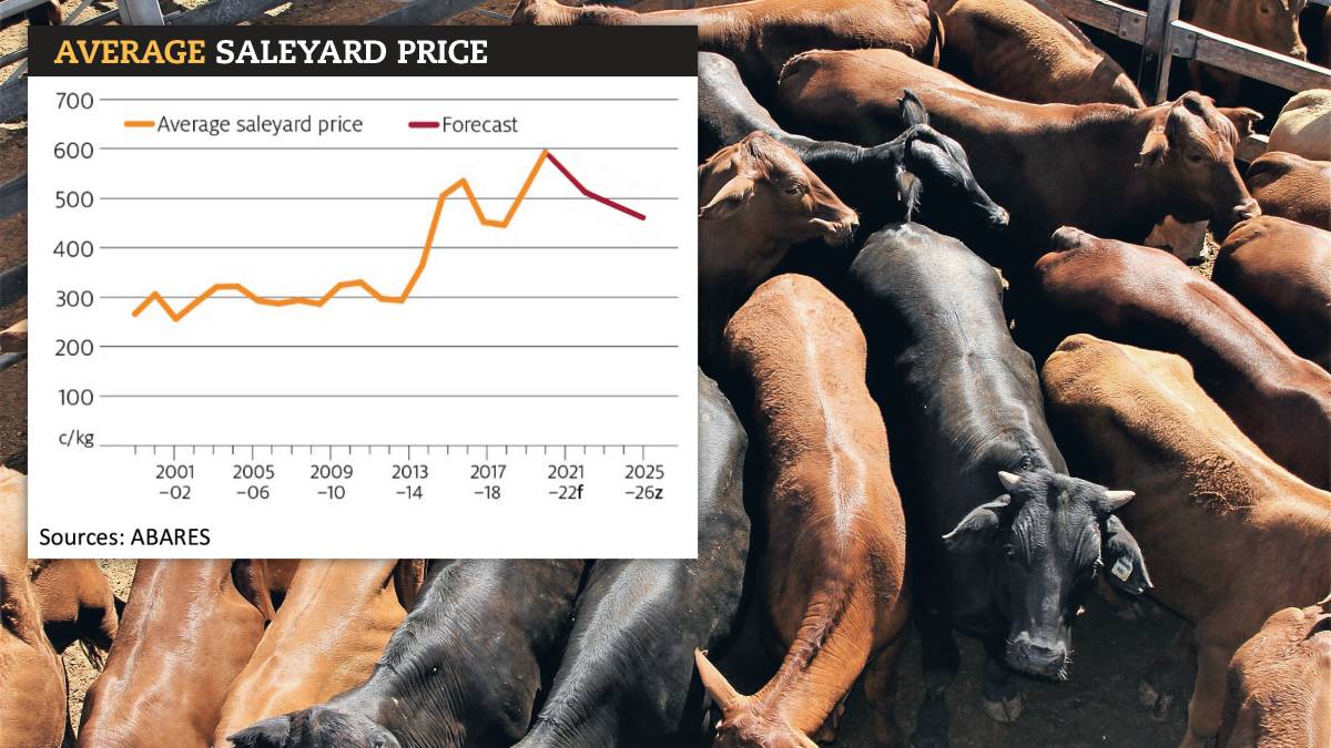 Cattle prices stay put in a ‘new normal’ | Adcock Partners Property ...